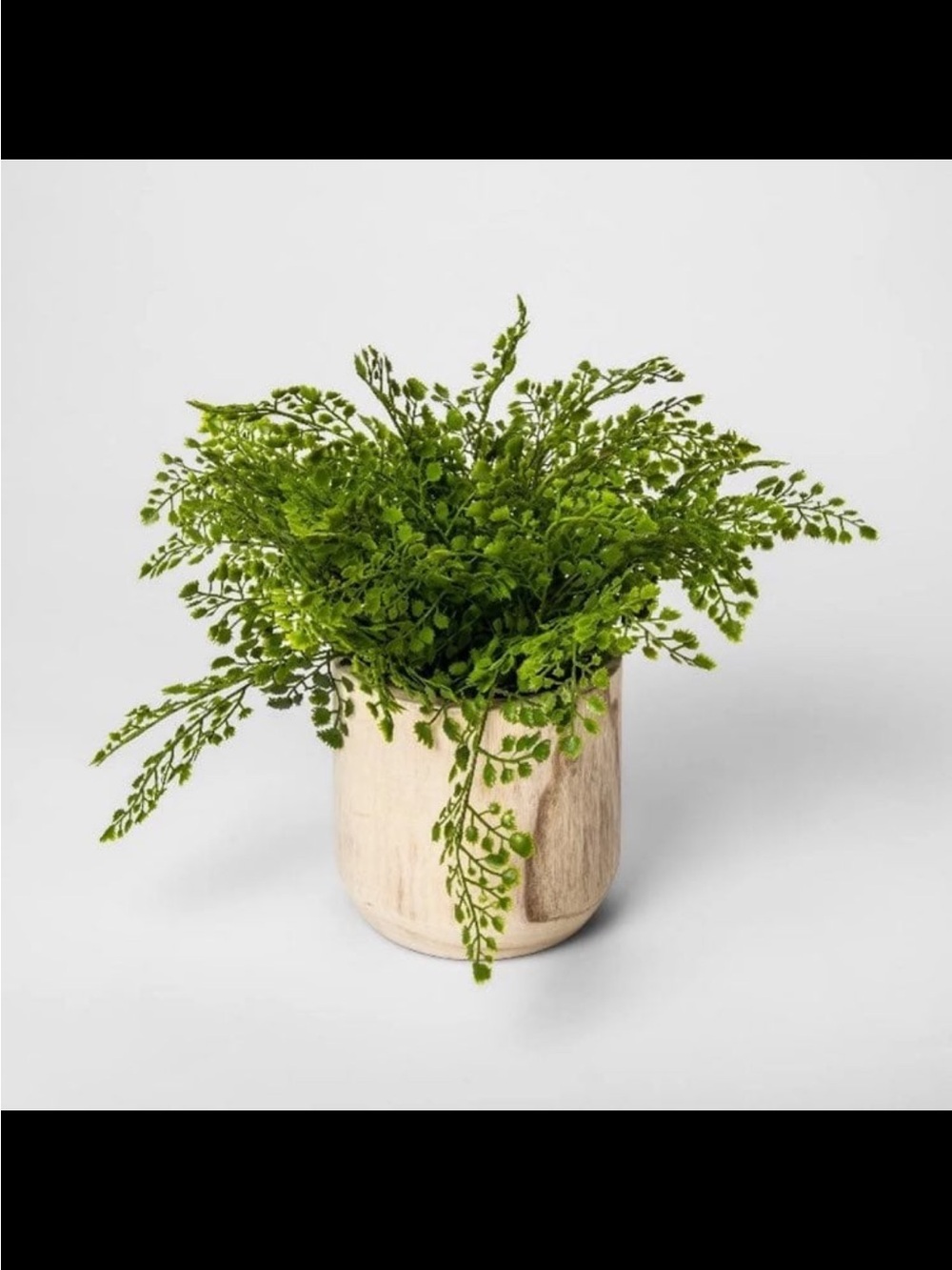 13" Potted Artificial Maiden Hair Fern - Threshold